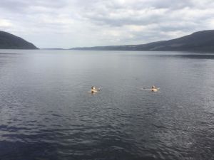 BPSC swimmers in Loch Ness Summer 2014